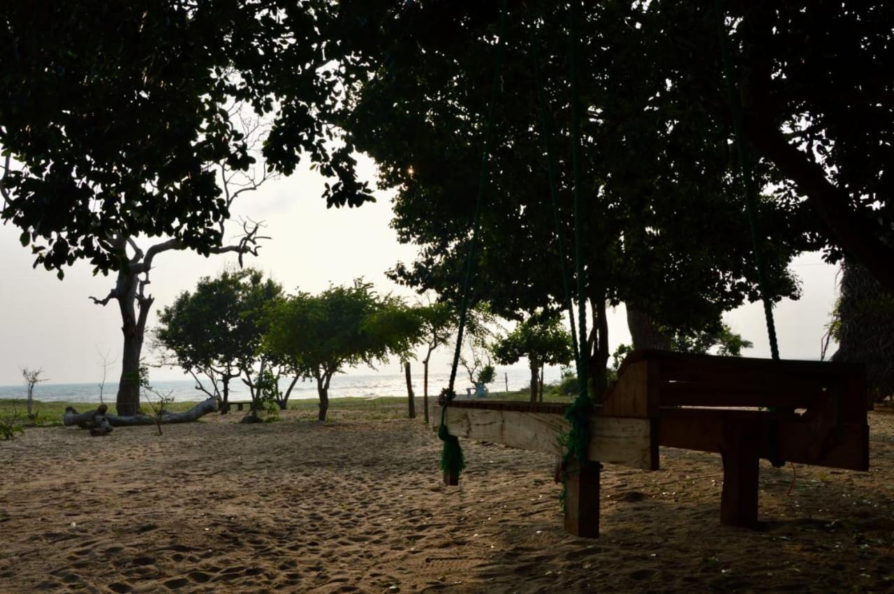 Surfing Lion Hostel Arugam Bay Buitenkant foto
