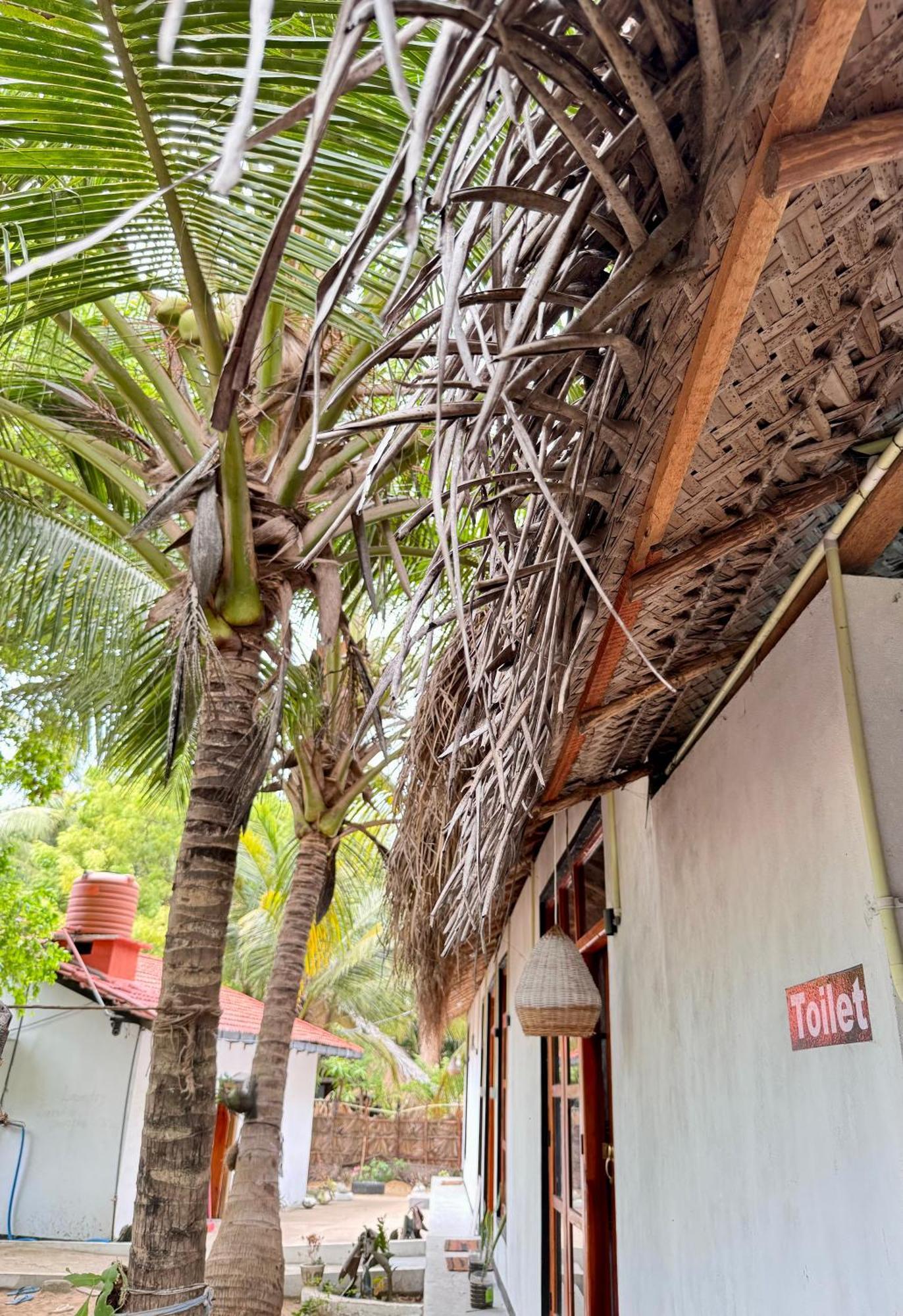 Surfing Lion Hostel Arugam Bay Buitenkant foto