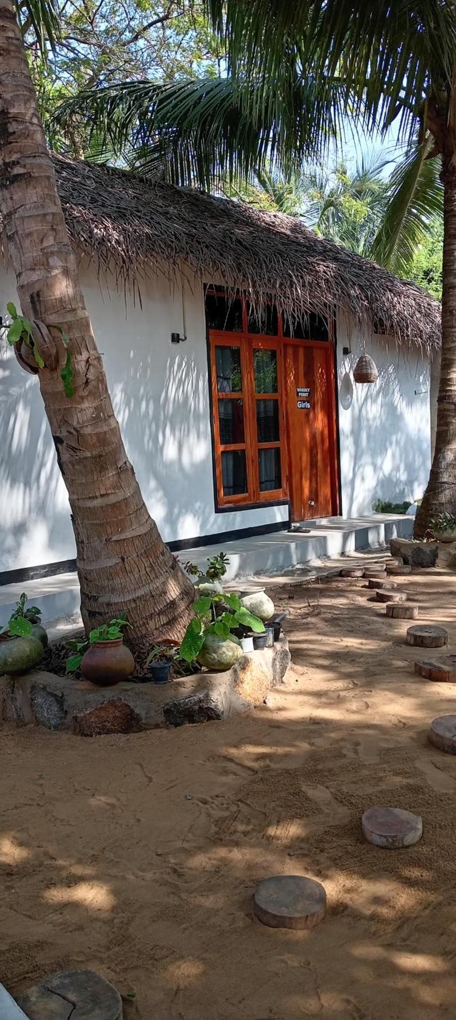 Surfing Lion Hostel Arugam Bay Buitenkant foto