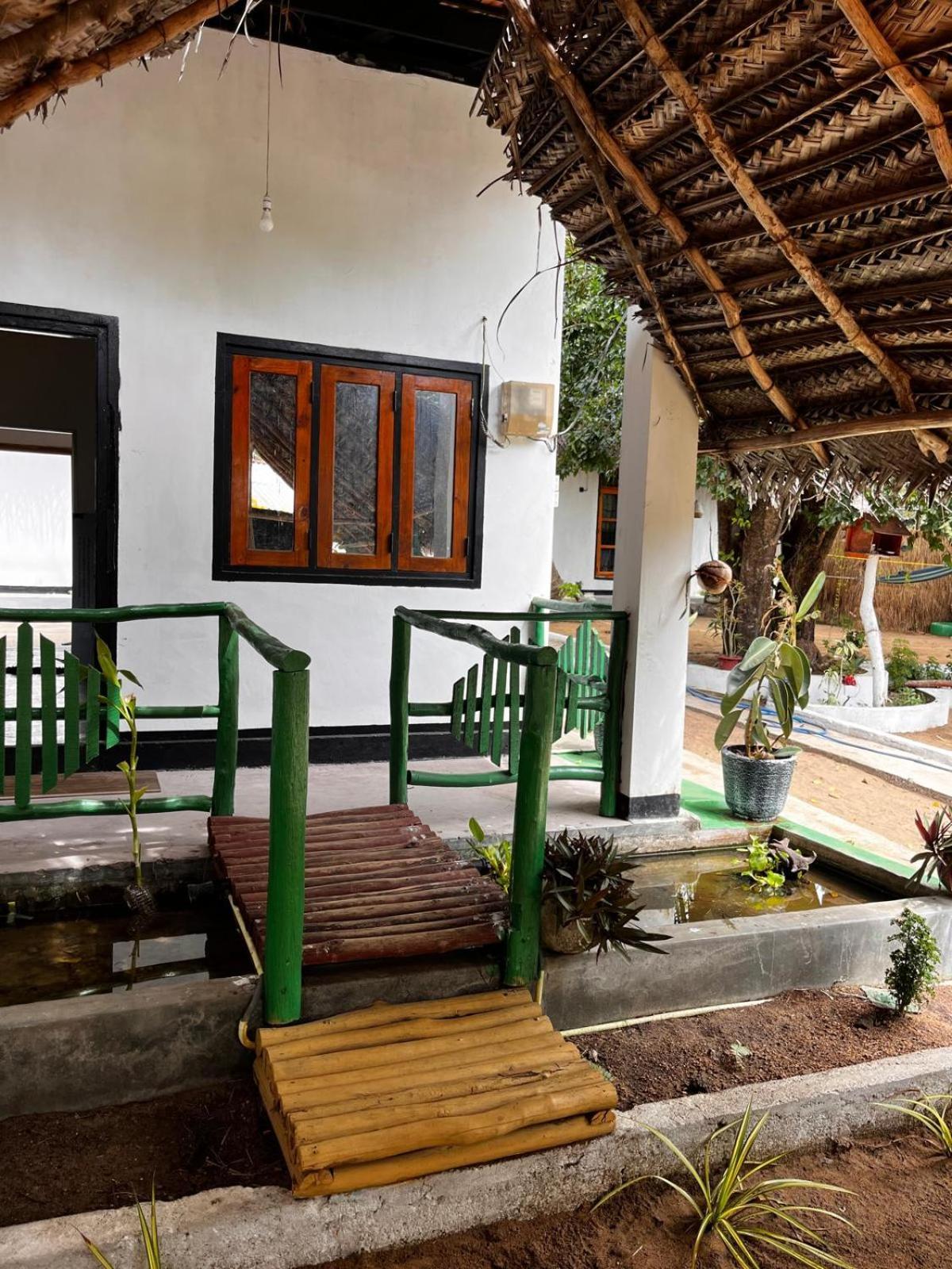 Surfing Lion Hostel Arugam Bay Buitenkant foto