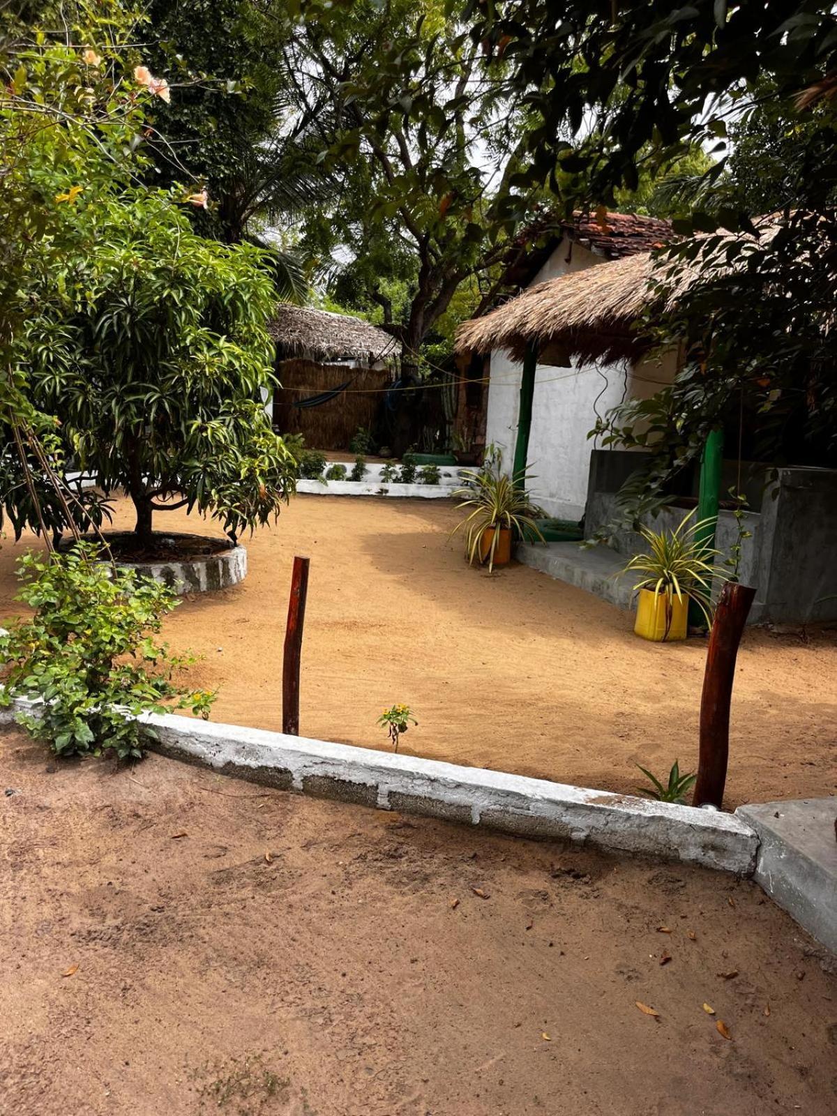 Surfing Lion Hostel Arugam Bay Buitenkant foto