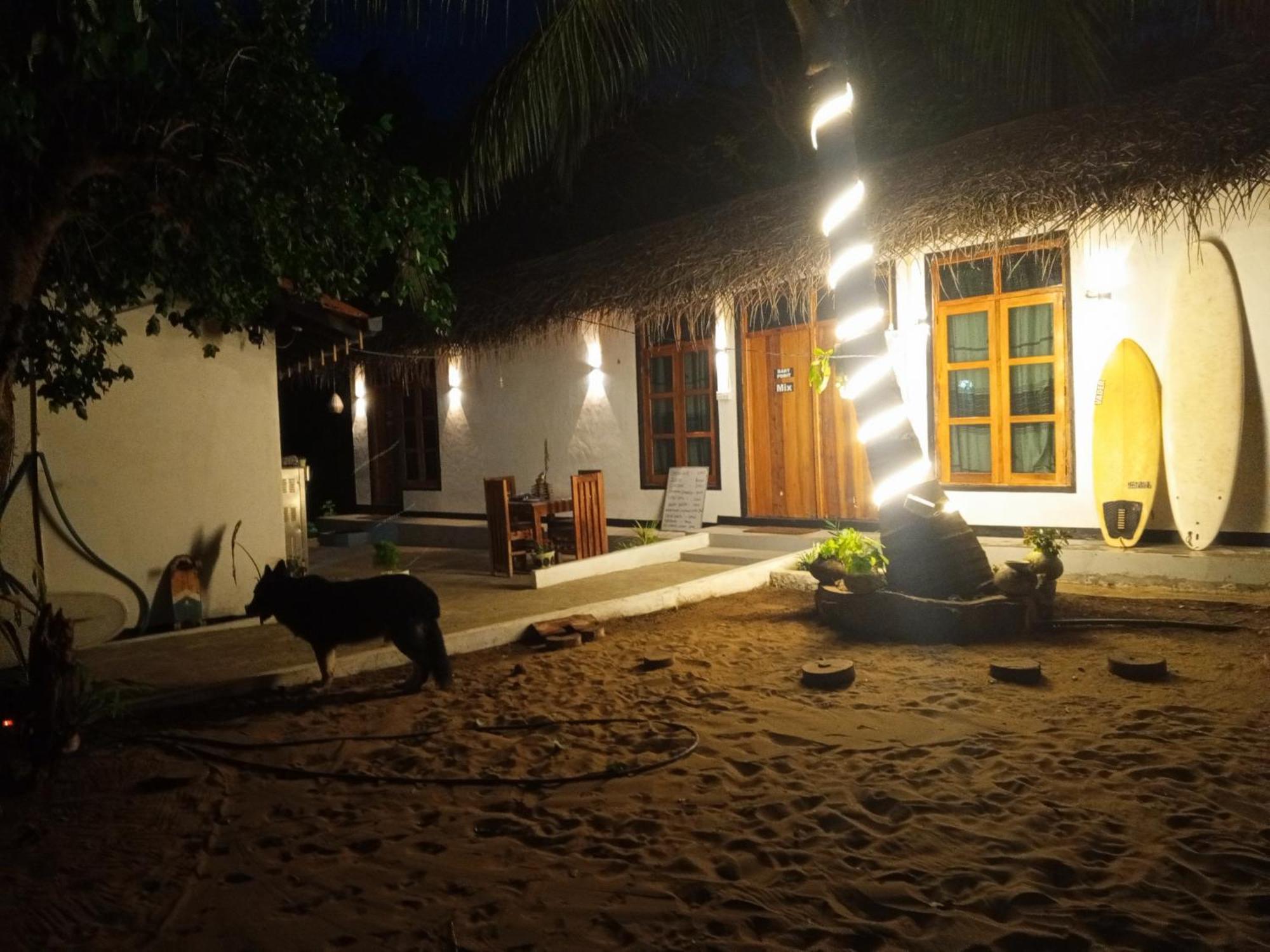 Surfing Lion Hostel Arugam Bay Buitenkant foto