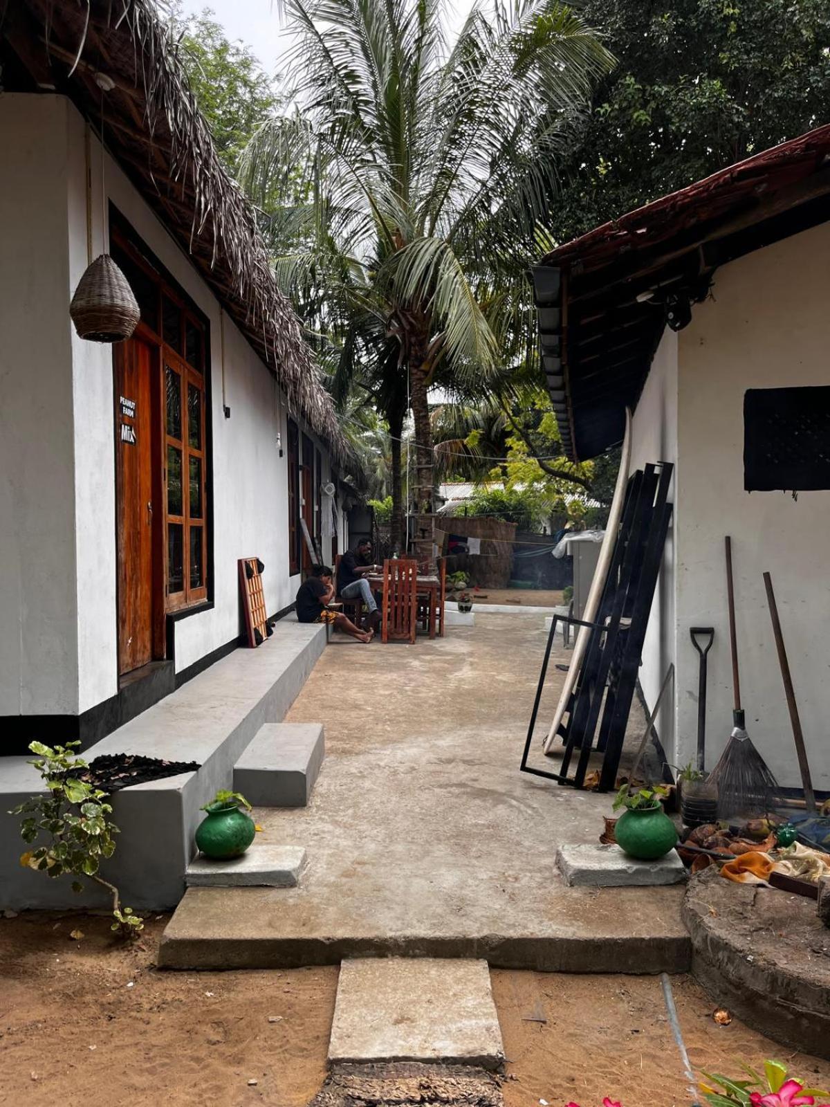 Surfing Lion Hostel Arugam Bay Buitenkant foto