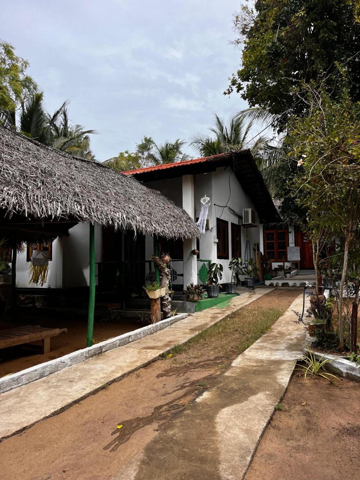 Surfing Lion Hostel Arugam Bay Buitenkant foto
