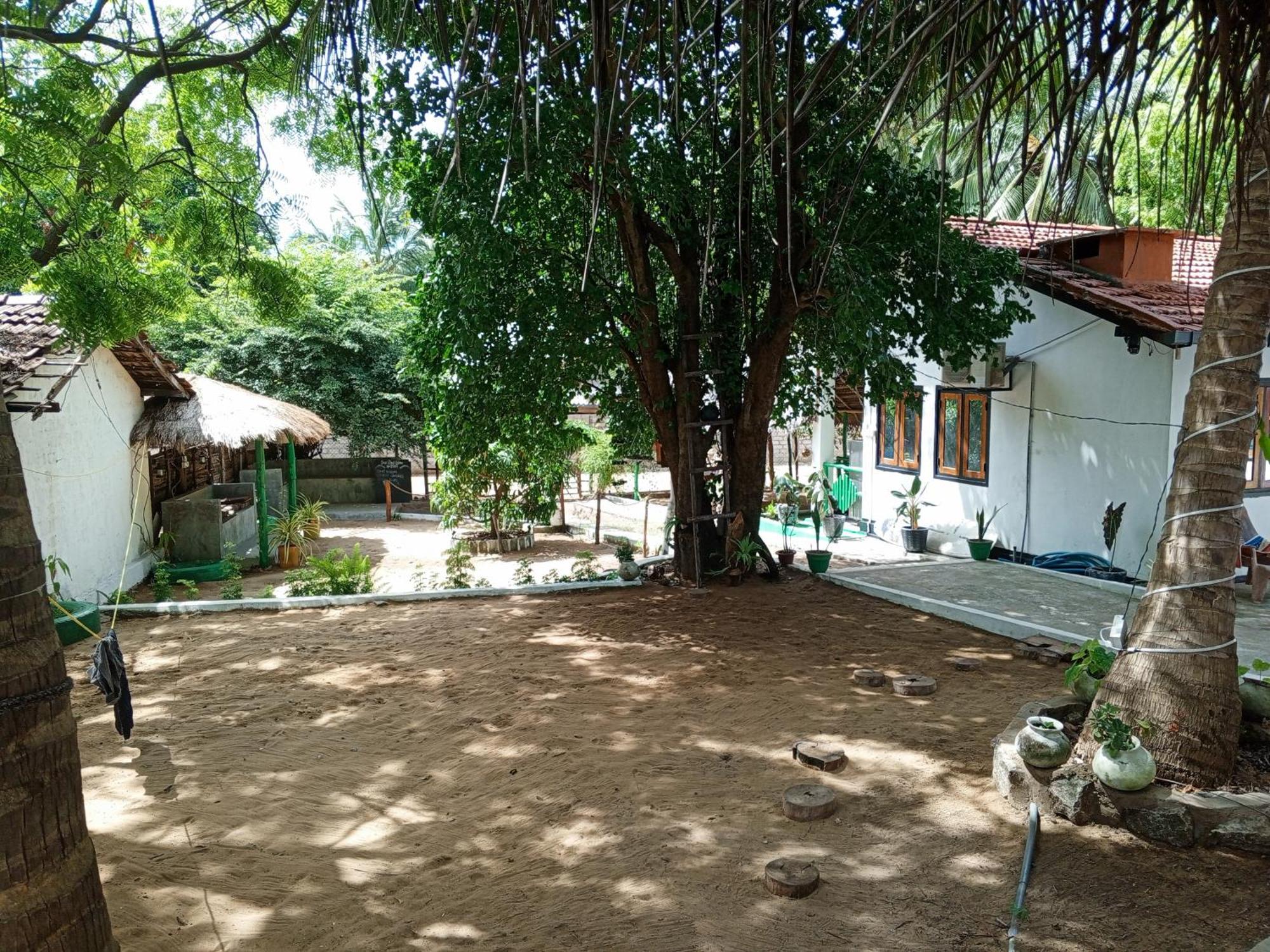 Surfing Lion Hostel Arugam Bay Buitenkant foto